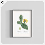 1-6_Histoire-des-Plantes-Grasses_blk