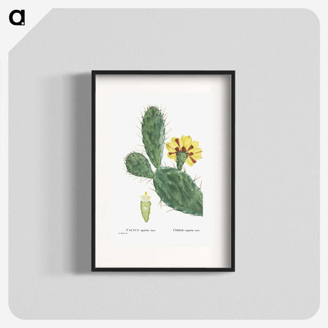 1-6_Histoire-des-Plantes-Grasses_blk