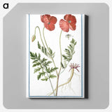 1-6_Hortus-Romanus-Botanical-Plates_canvas