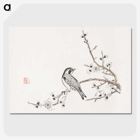 1-6_Hu-Zhengyan_picture-crop