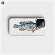 1-6_Ichtyologie-ou-Histoire-naturelle_phone