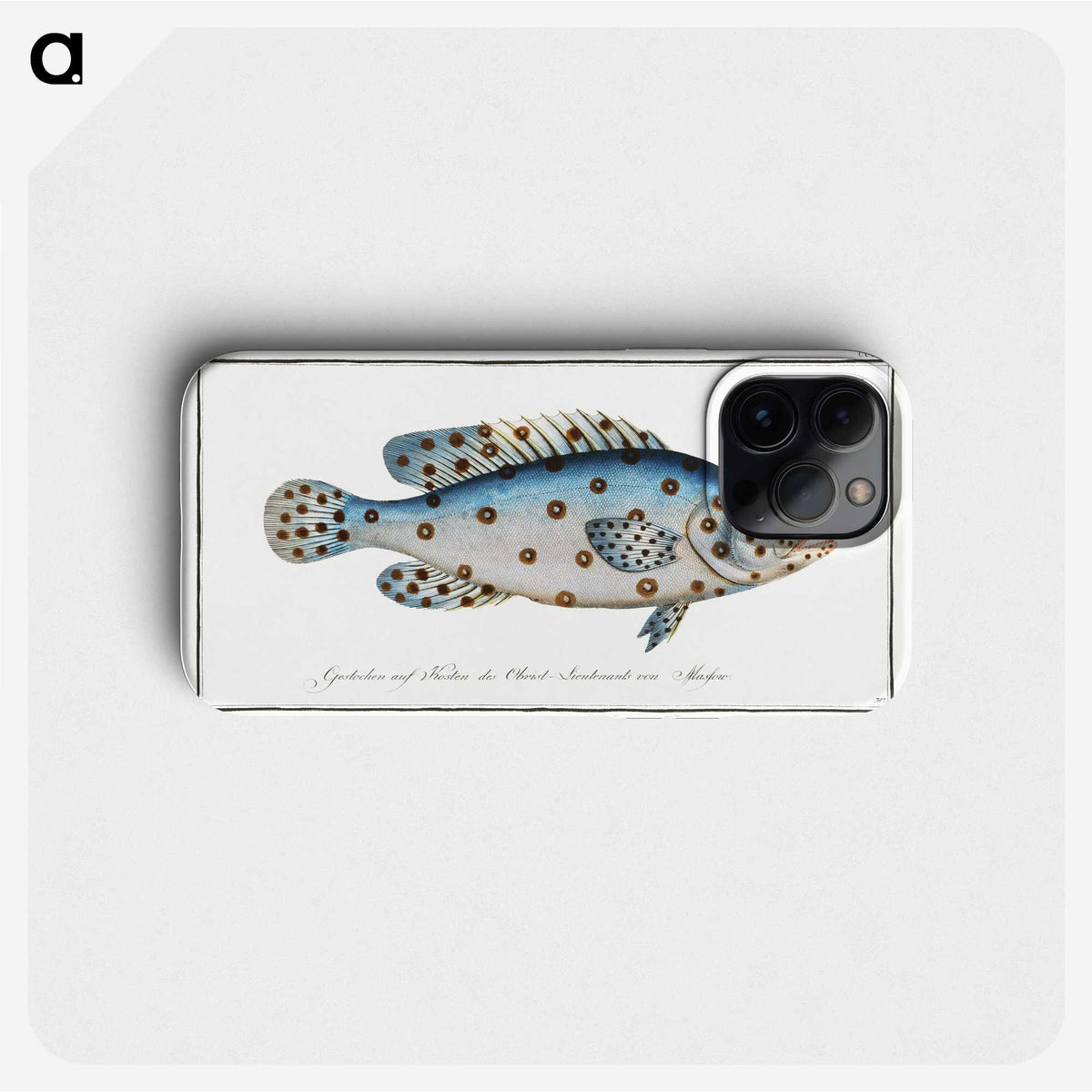 1-6_Ichtyologie-ou-Histoire-naturelle_phone