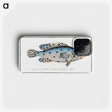 1-6_Ichtyologie-ou-Histoire-naturelle_phone