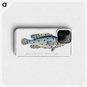 1-6_Ichtyologie-ou-Histoire-naturelle_phone