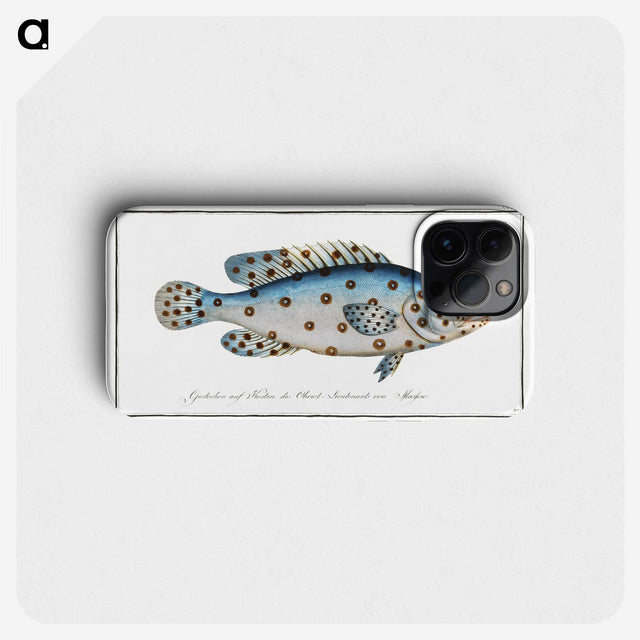 1-6_Ichtyologie-ou-Histoire-naturelle_phone