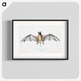 1-6_Indian-Zoology_blk