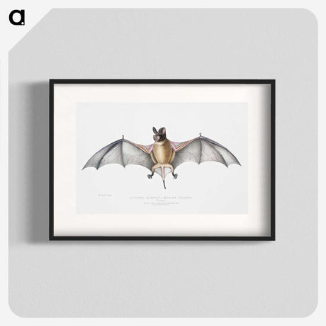 1-6_Indian-Zoology_blk