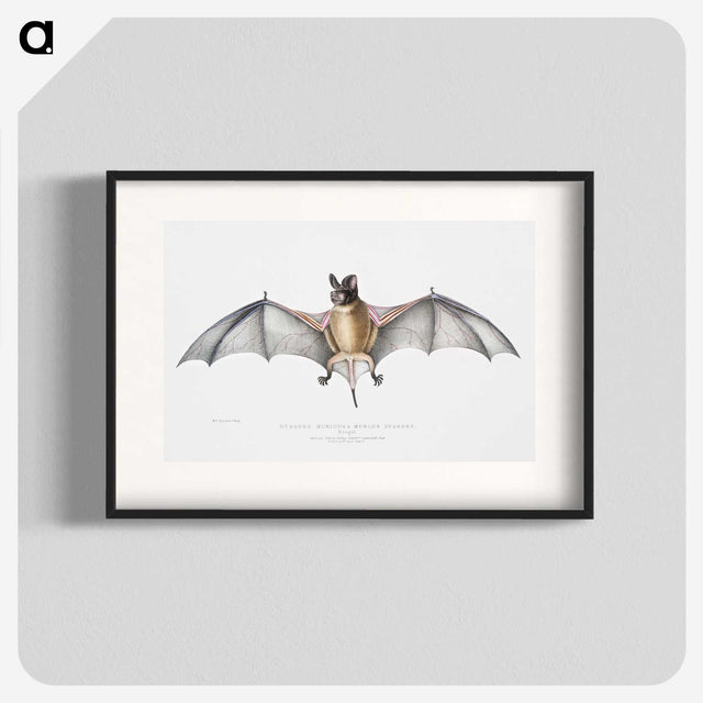 1-6_Indian-Zoology_blk