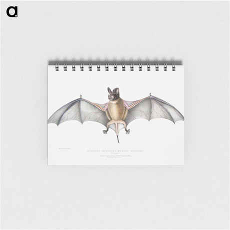 1-6_Indian-Zoology_memo