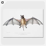 1-6_Indian-Zoology_picture-crop