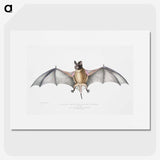 1-6_Indian-Zoology_picture