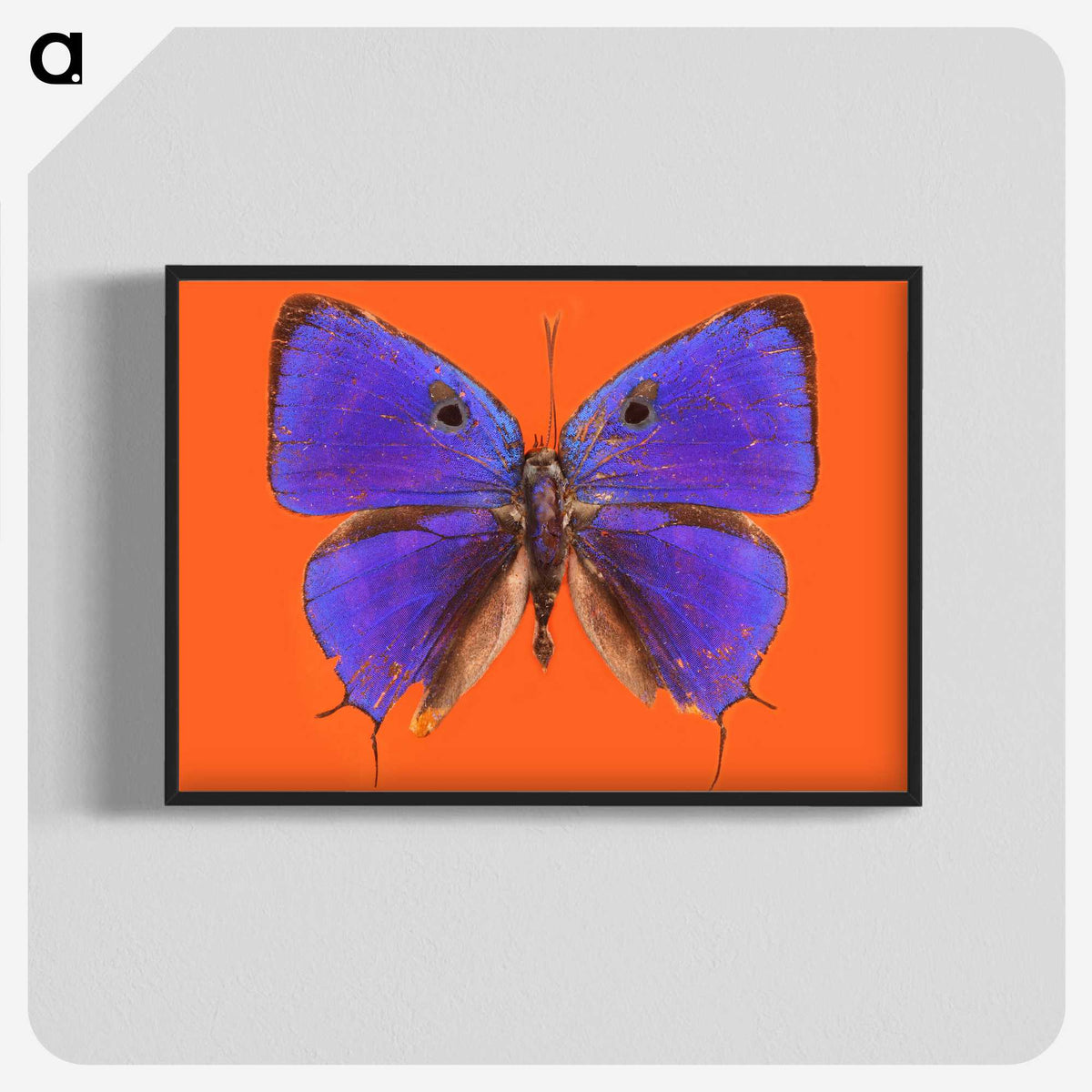 1-6_Insects-Unlocked-Project_blk-crop