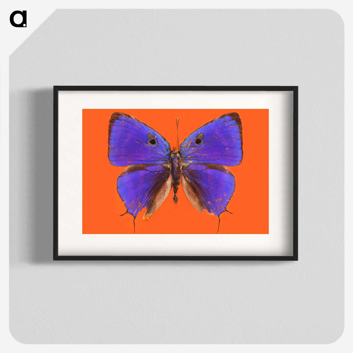 1-6_Insects-Unlocked-Project_blk