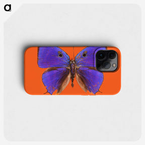 1-6_Insects-Unlocked-Project_phone