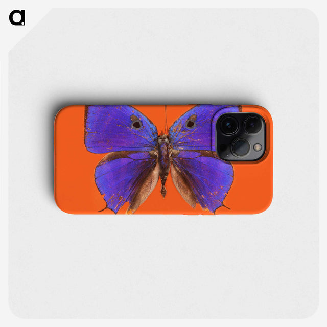 1-6_Insects-Unlocked-Project_phone
