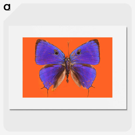 1-6_Insects-Unlocked-Project_picture