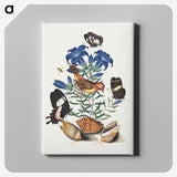 1-6_James-Bolton_canvas