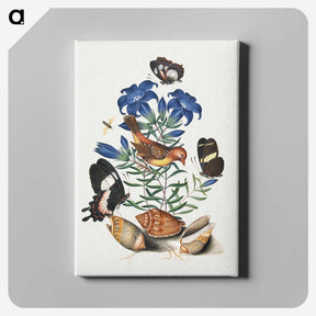 1-6_James-Bolton_canvas