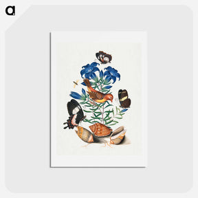 アートポストカード-Anna Blackburne's Natural History Cabinet
 - ジェームズ ボルトン Postcard.