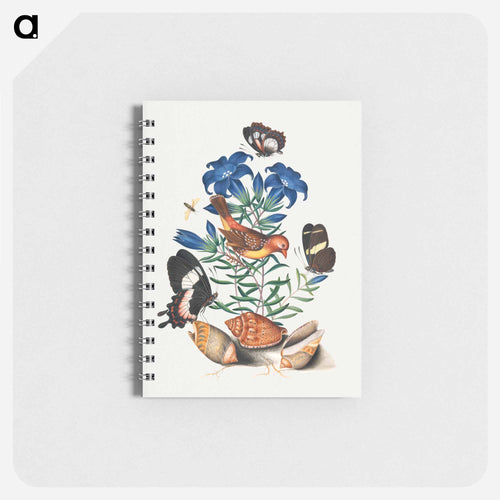 Anna Blackburne's Natural History Cabinet
 - ジェームズ ボルトン Memo.