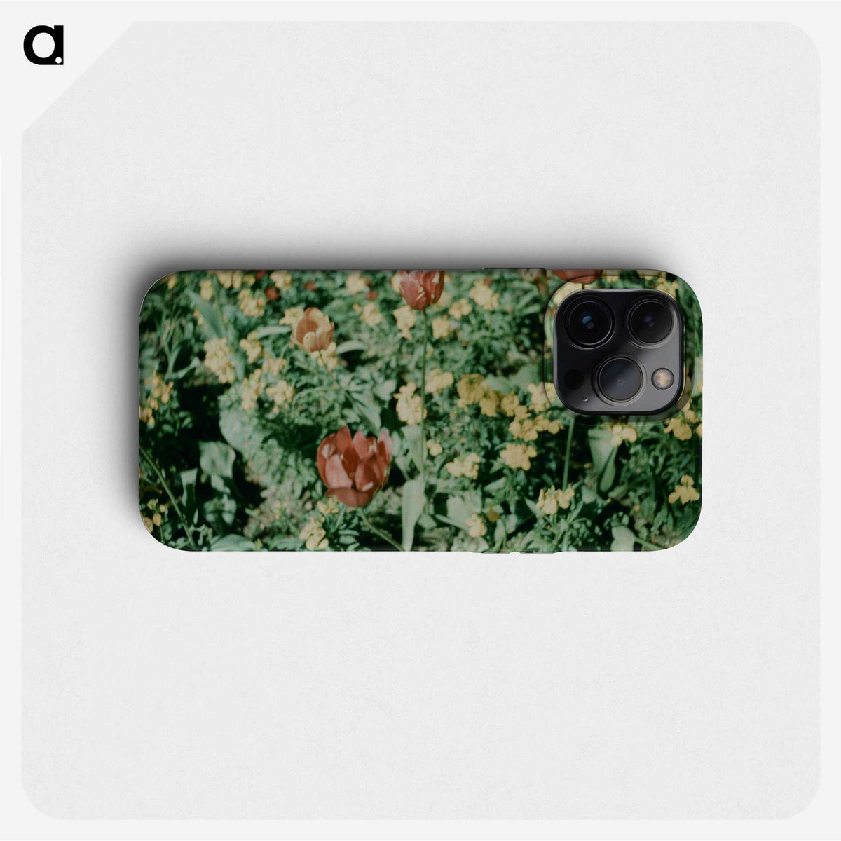 1-6_James-Walter-Chapman-Taylor_phone