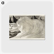 1-6_Jan-Toorop_postcard