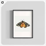 1-6_Jan-Van-Kessel_blk