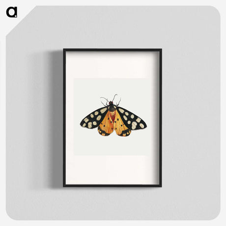 1-6_Jan-Van-Kessel_blk