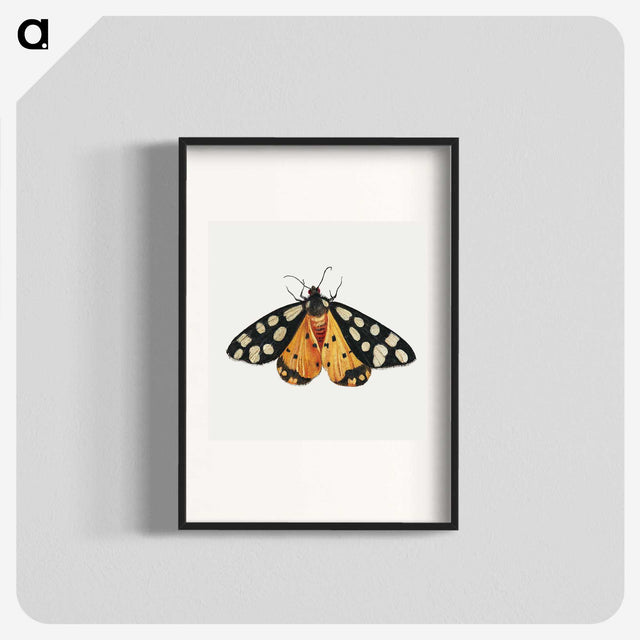 1-6_Jan-Van-Kessel_blk
