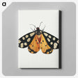 1-6_Jan-Van-Kessel_canvas