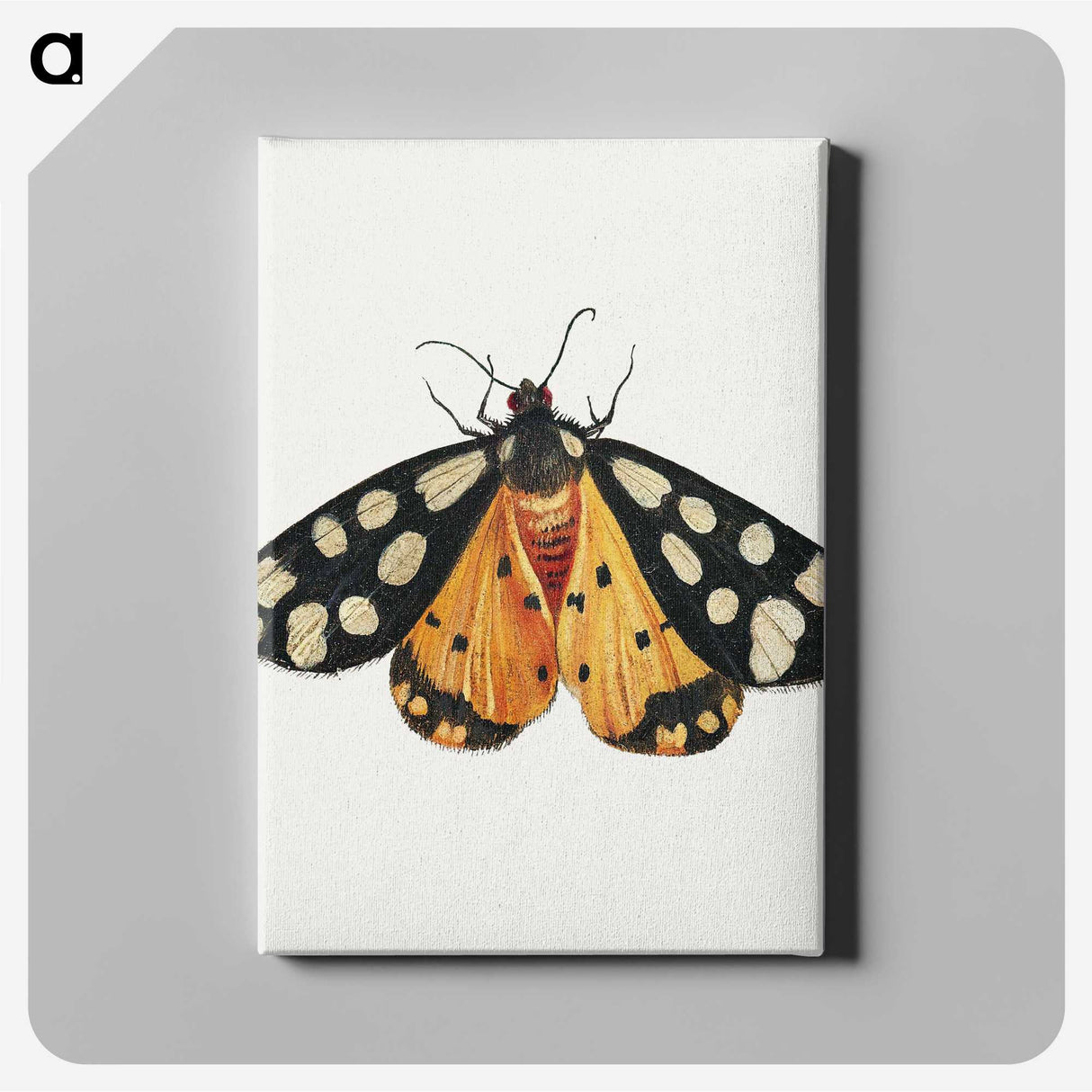 1-6_Jan-Van-Kessel_canvas