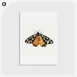 1-6_Jan-Van-Kessel_hagaki