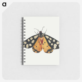 1-6_Jan-Van-Kessel_memo