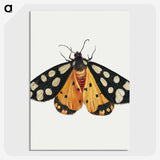 1-6_Jan-Van-Kessel_picture-crop