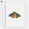 1-6_Jan-Van-Kessel_picture