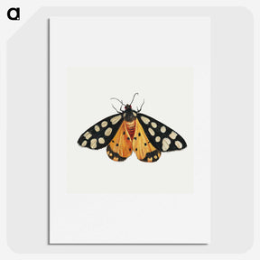 1-6_Jan-Van-Kessel_picture