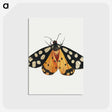 1-6_Jan-Van-Kessel_postcard