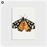 1-6_Jan-Van-Kessel_postcard
