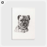 アートポストカード-Dog head with a collar - ジャン ベルナール Postcard.