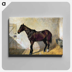 アートパネル-Horse
 - ジョン フレデリック ヘリング Canvas.
