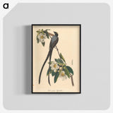 1-6_John-James-Audubon_blk-crop
