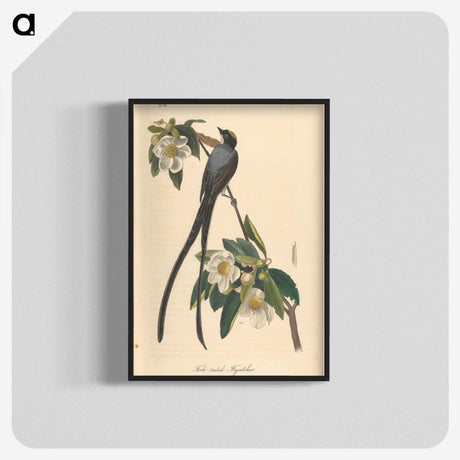 1-6_John-James-Audubon_blk-crop