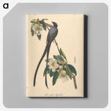 1-6_John-James-Audubon_canvas
