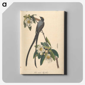 1-6_John-James-Audubon_canvas