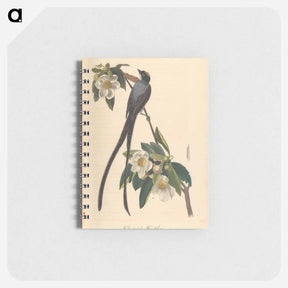 アートメモ帳-The Birds of America
 - ジョン ジェームス オーデュボン Memo.