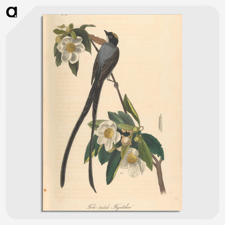 1-6_John-James-Audubon_picture-crop
