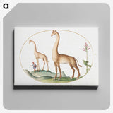 1-6_Joris-Hoefnagel_canvas