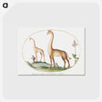 1-6_Joris-Hoefnagel_postcard