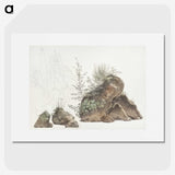 1-6_Josephus-Augustus-Knip_picture