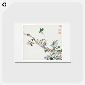 アートポストカード-Insects and Flowers
 - ジュ リアン Postcard.